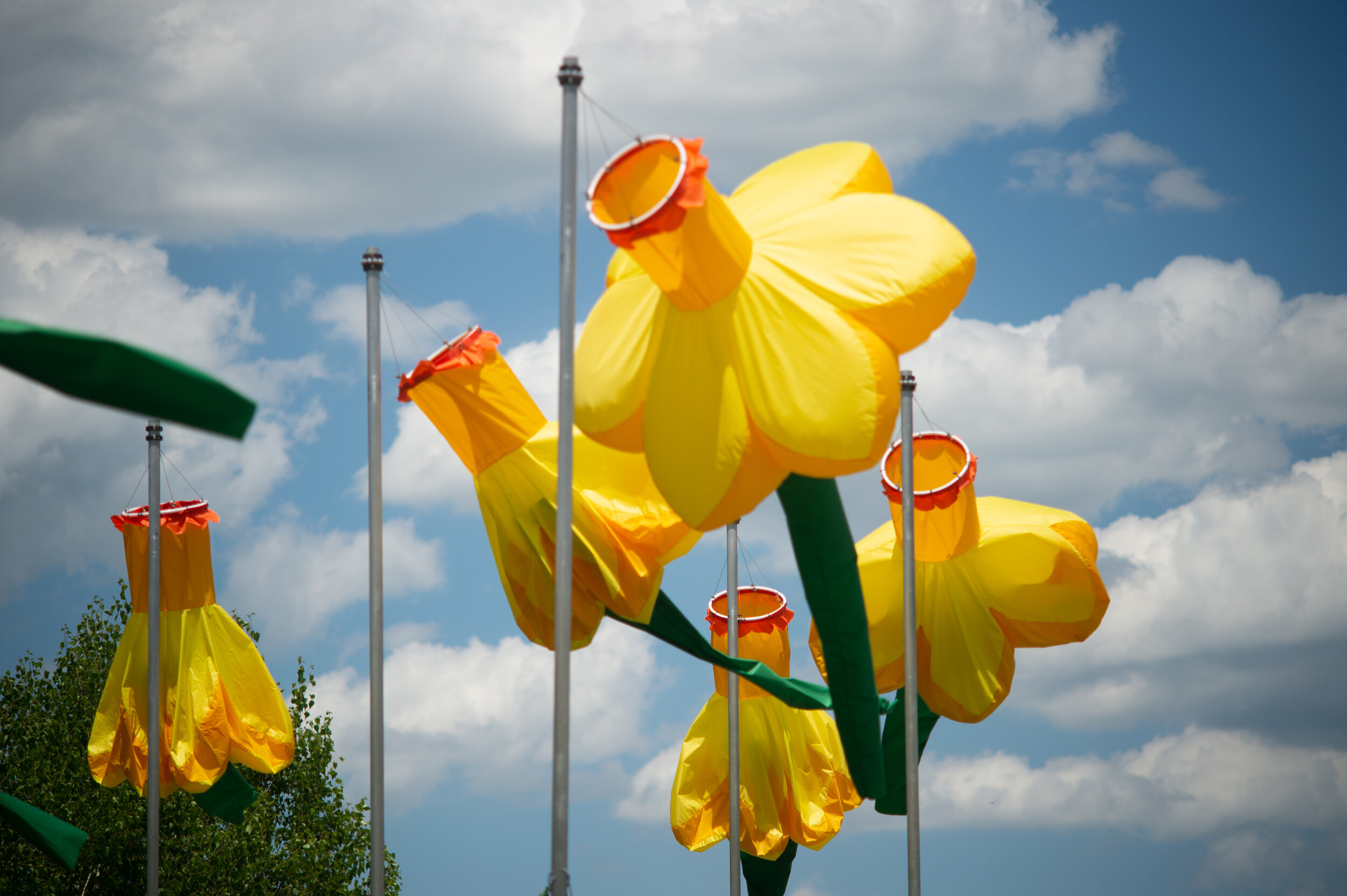 20 Knots — Daniele Frazier